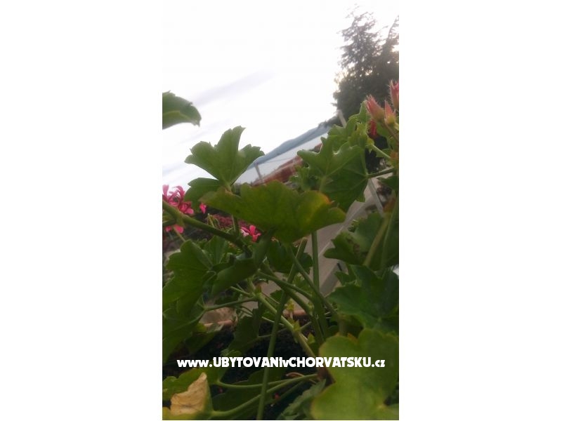 Appartements Ira – Ferienwohnung Sveti Petar, Kroatien – Foto 11