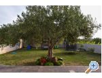 Apartmaji Kristijan - Sveti Petar Hrvaška