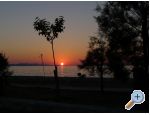 Apartmaji Darija - Sveti Petar Hrvaka