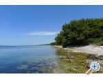 Apartmaji Darija - Sveti Petar Hrvaka