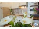 Apartmaji Marko - Sveti Petar Hrvaka