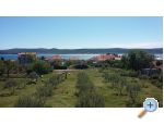 Coli Apartmaji - Sveti Petar Hrvaka