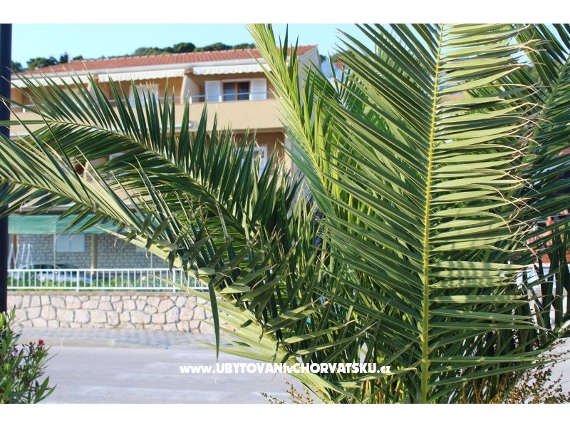 Appartements Berak – Ferienwohnung Tisno, Kroatien – Foto 9