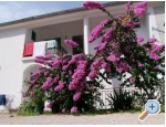 Appartements Ive - Tisno Kroatien