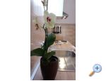 Appartements Mara - Tisno Croatie