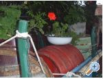 Appartements Mara - Tisno Croatie