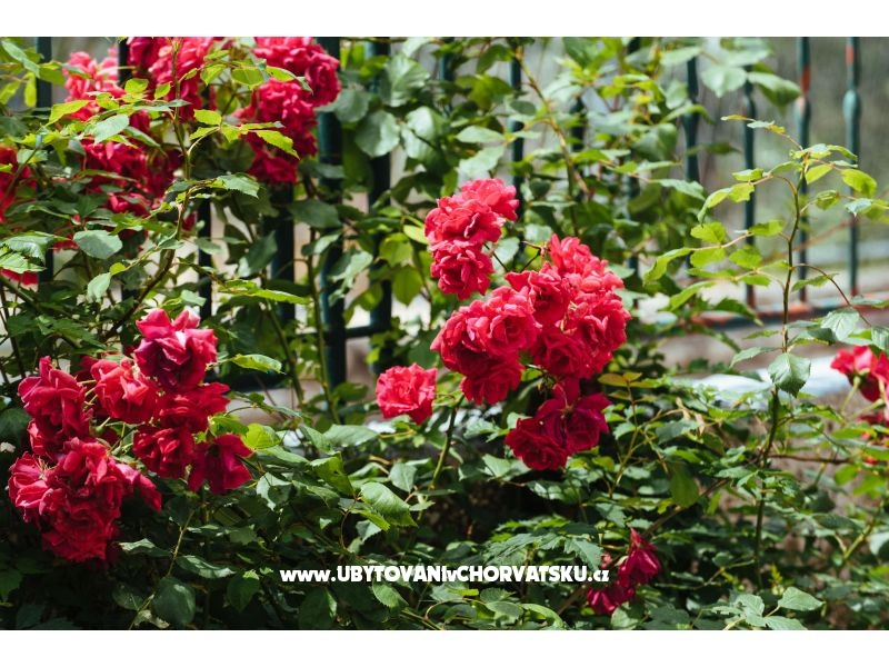 Apartment Ankica – Ferienwohnung Trogir, Kroatien – Foto 15