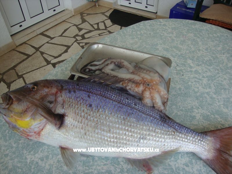 Apartment Jakov – Ferienwohnung Trogir, Kroatien – Foto 3