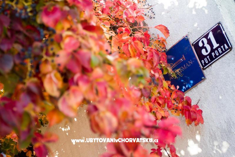 Apartment Jelena – Ferienwohnung Trogir, Kroatien – Foto 2