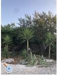 Apartment Marijo - Trogir Kroatien