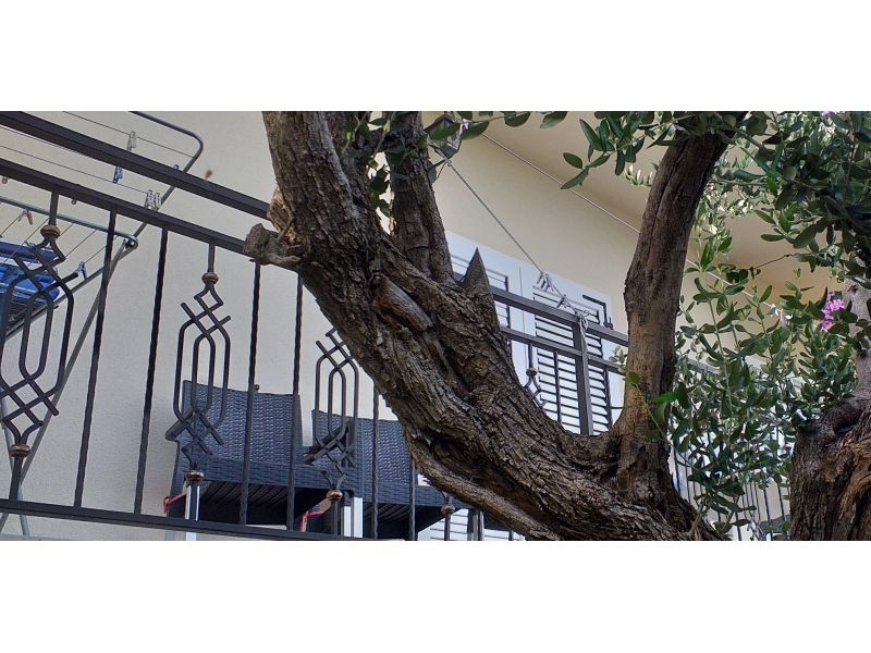 Apartment Monika – Ferienwohnung Trogir, Kroatien – Foto 17