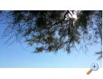 Apartmn Rita - Trogir Chorvatsko