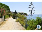 Apartmn Sego  TROGIR - Trogir Chorvatsko