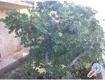 Apartmny Adria - Trogir Chorvatsko