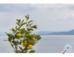 Apartmaji Babaja - Trogir Hrvaka