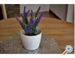Apartmny Brksi - Trogir Chorvatsko