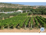Appartements ori - Trogir Kroatien