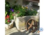 Apartmny ori - Trogir Chorvatsko