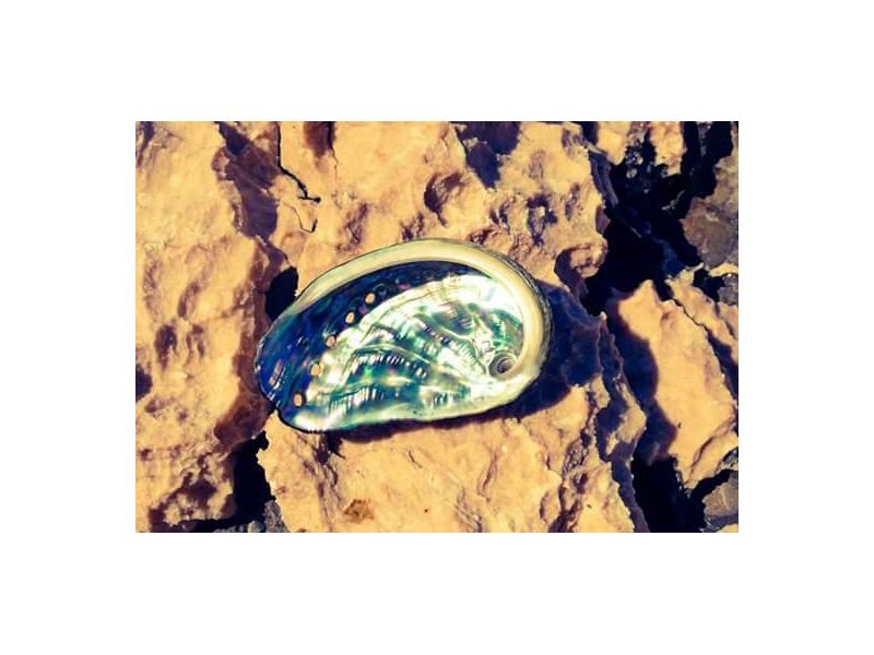 Appartements Gizdić – Ferienwohnung Trogir, Kroatien – Foto 17