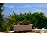 Apartmny Ivan Okrug Gornji - Trogir Chorvatsko