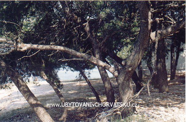 Ferienwohnungen Darko – Ferienwohnung Trogir, Kroatien – Foto 7