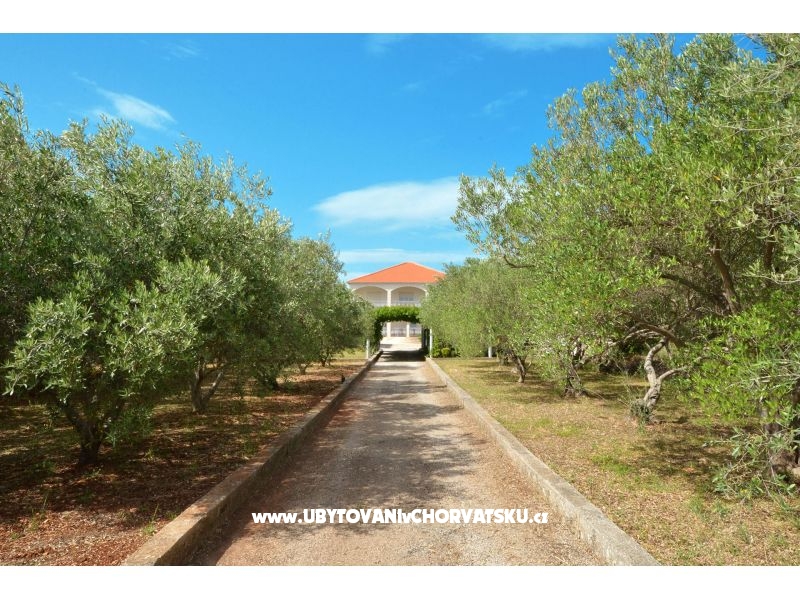 Apartmány Lukas – ubytování Trogir, Chorvatsko – foto 11