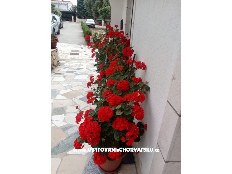 Appartements Malic – Ferienwohnung Trogir, Kroatien – Foto 10