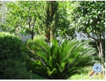 Appartements Marin - Trogir Kroatien