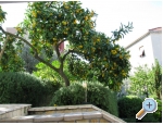 Appartements Marin - Trogir Kroatien