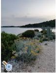 Apartmny Neda Pareanin - Trogir Chorvatsko