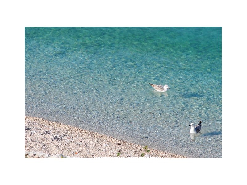 Appartements Neva – Ferienwohnung Trogir, Kroatien – Foto 7