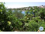 Apartmny Tereza - Trogir Chorvatsko