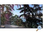 Apartmny Tereza - Trogir Chorvatsko