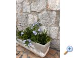 Apartments Tri palme - Trogir Croatia