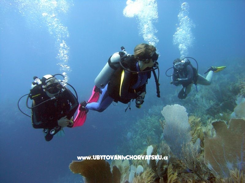 Appartements Vladić – Ferienwohnung Trogir, Kroatien – Foto 18