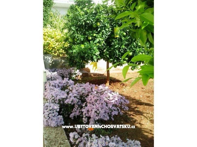 Apartmány Zubak – ubytování Trogir, Chorvatsko – foto 3