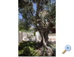 Ferienwohnungen Matic - Trogir Kroatien
