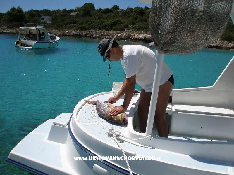 Ferienwohnungen Tragurium – Ferienwohnung Trogir, Kroatien – Foto 16