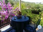 Apartmny Zdravka - Trogir Chorvatsko