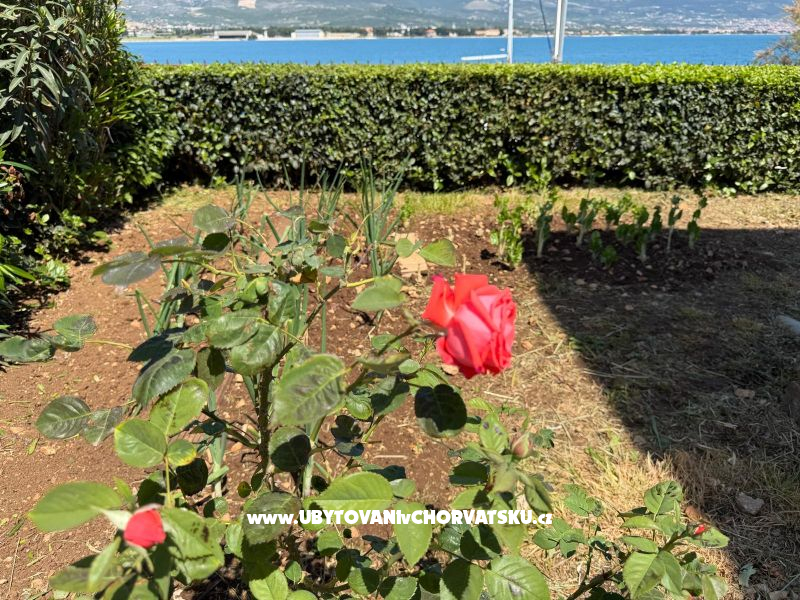 Holiday Home Stella – Ferienwohnung Trogir, Kroatien – Foto 19