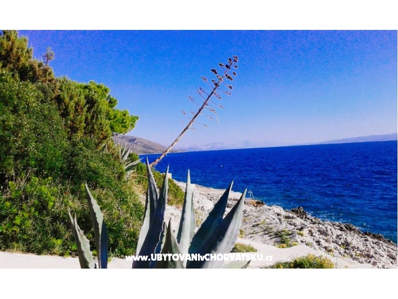 Goga Appartements – Ferienwohnung Trogir, Kroatien – Foto 1