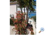 Vila Jelica - Trogir Kroatien