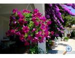 Penzion Jeric - Trogir Chorvatsko