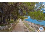Solea - Trogir Chorvatsko