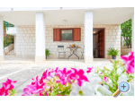 Appartements Vila Veljko - Trogir Kroatien