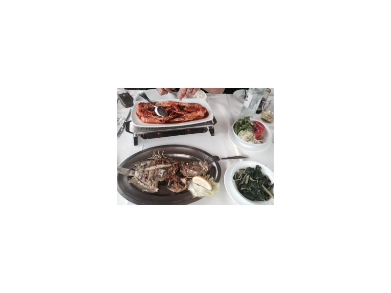 Vila best – ubytování Trogir, Chorvatsko – foto 9