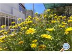 Apartmny Katarina iovo - Trogir Chorvatsko
