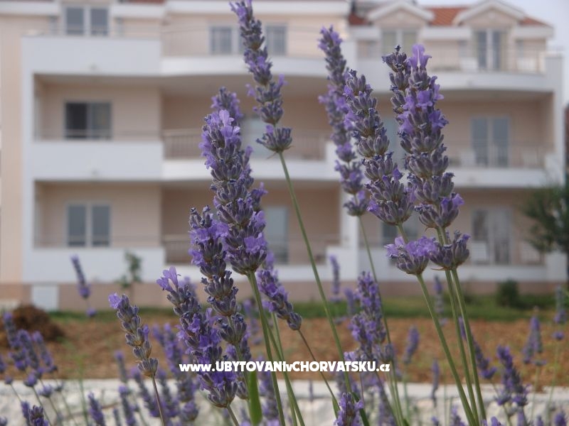 Villa Marija agroturizam – Ferienwohnung Trogir, Kroatien – Foto 1