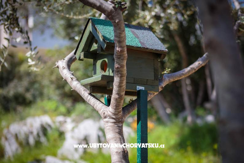 Haus Tea in a beautiful nature – Ferienwohnung Trogir, Kroatien – Foto 8