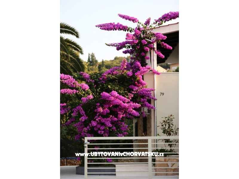 Villa Verandah – ubytování Trogir, Chorvatsko – foto 9